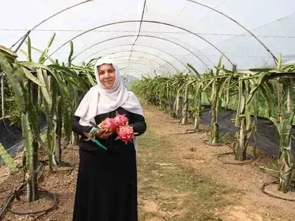 ’Burada Yetişmez’ Diyenlere İnat Üretime Başladı, 1 Tonun Üzerinde Ürün Bekliyor