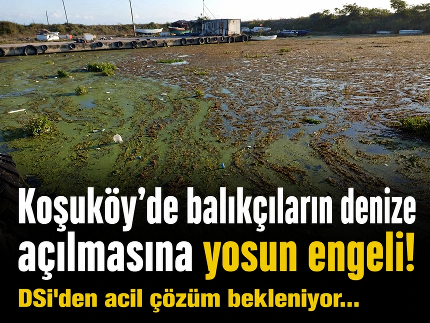 Koşuköy’de balıkçıların denize açılmasına yosun engeli! 
