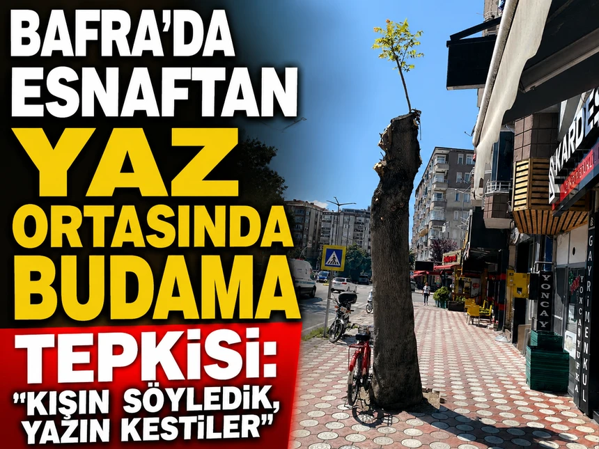 Bafra’da esnaftan yaz ortasında ağaç budamasına tepki