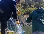 Sinop’ta Kaçak Avcılığa Karşı Kararlı Mücadele