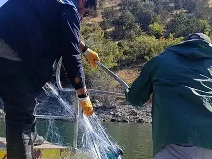 Sinop’ta Kaçak Avcılığa Karşı Kararlı Mücadele