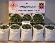 Bafra’da 63 kilo kubar esrar ele geçirildi

