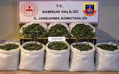 Bafra’da 63 kilo kubar esrar ele geçirildi
