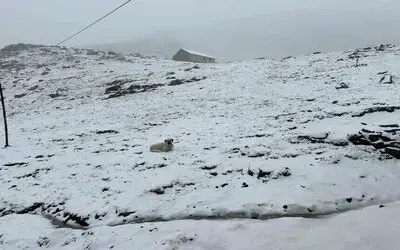 Sonbahar Mevsiminin İlk Karı Kaçkarlar’ı Beyaza Bürüdü