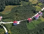 Ordu’da 35 Yıllık Yol Sorunu Çözüme Kavuşturuldu