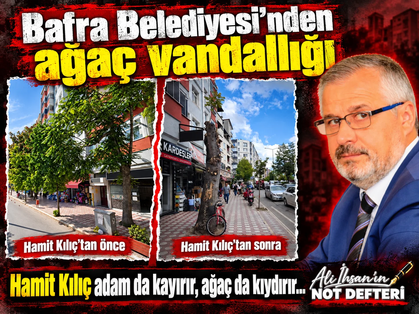 Bafra Belediyesi’nden ağaç vandallığı