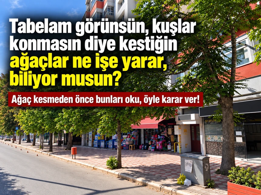 Tabelam görünsün, kuşlar konmasın diye kestiğin ağaçlar ne işe yarar, biliyor musun? 