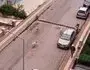 Atakum’da Başıboş Köpek Tedirginliği