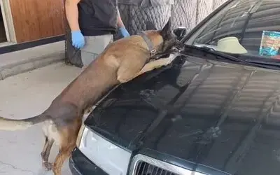 Samsun’da Peş Peşe Uyuşturucu Operasyonları: 1 Kilo 225 Gram Metamfetamin Ele Geçirildi