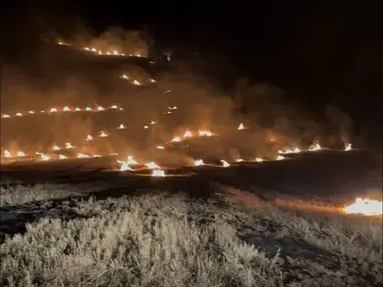Havza'da Anız Yangını Ormanlık Alana Sıçramadan Söndürüldü