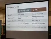Karadeniz’in Deniz Çayırları Haritalandı