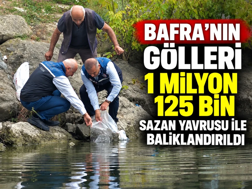 Samsun’un iç suları 1 milyon 125 bin sazan yavrusu ile balıklandırıldı
