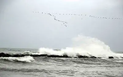 Karadeniz’de Fırtına Uyarısı: Rüzgar 75 Kilometreye Ulaşacak