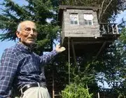 Torunu İstedi, Dedesi Yaptı: 90 Yıllık Meşe Ağacının Tepesine Ev Kurdu