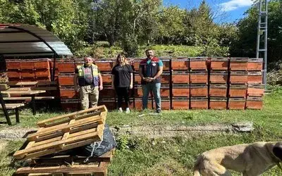 Sinop’ta Kadın Arıcıya 774 Bin TL Hibe Desteği