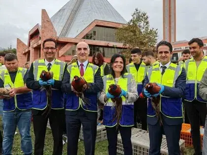 Kampüste 200 Sülün Doğayla Buluştu