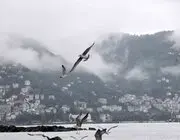 Ordu’da Görsel Şölen