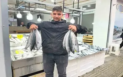 Sinop’ta Palamut 50 Lira