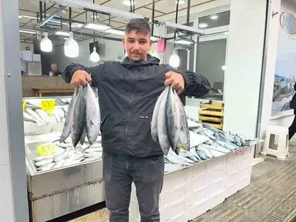 Sinop’ta Palamut 50 Lira