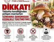 Sinop’ta Mantar Toplayıcılarına Uyarı