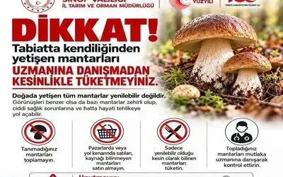Sinop’ta Mantar Toplayıcılarına Uyarı