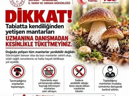 Sinop’ta Mantar Toplayıcılarına Uyarı