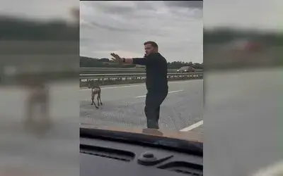 Yola Düşen Geyiğin Yardımına Koştu