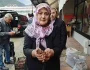 Dünyaca Ünlü Erfelek Kuzu Kestanesi Tezgahlarda