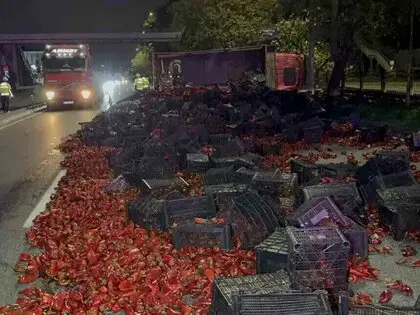 Devrilen Kamyondaki 10 Ton Kapya Biber Yola Saçıldı: 2 Yaralı
