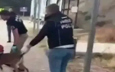 Sinop Uyuşturucu Operasyonu: 3 Tutuklama