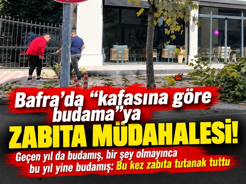 Bafra’da “kafasına göre budama”ya zabıta müdahalesi! 