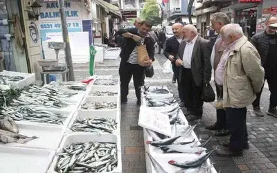 900 Gramlık Palamut 50 Lira: Vatandaş Sıraya Girdi