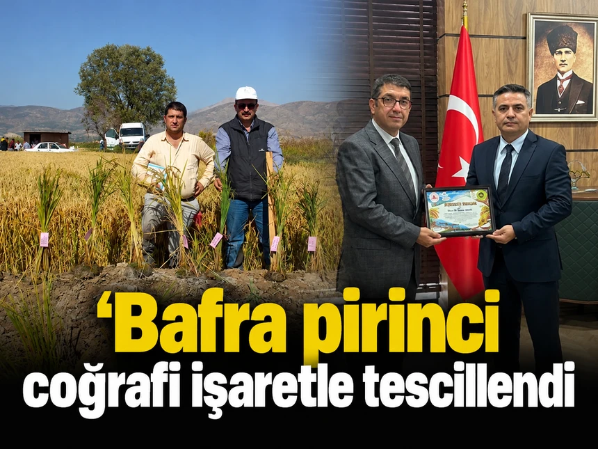 ’Bafra Pirinci’ Coğrafi İşaretle Tescillendi