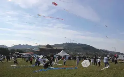 Ordu’da Yüzlerce Çocuk Yason Burnu’nda Uçurtma Uçurdu