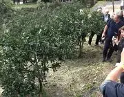 Rize Gastronomisi Sofradan Sağlığa Yeni Bir Hikâye Yazıyor