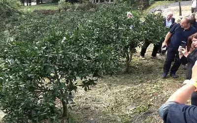 Rize Gastronomisi Sofradan Sağlığa Yeni Bir Hikâye Yazıyor