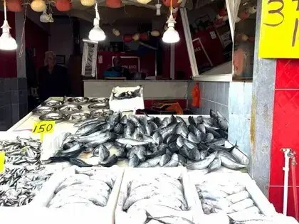 Rize’de Palamutun 3 Tanesi 100 TL’den Satılıyor