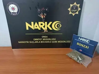 Ordu’da Uyuşturucu Operasyonunda 1 Tutuklama