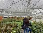 Samsun’da üreticiler modern tarımı yerinde öğreniyor
