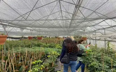 Samsun’da üreticiler modern tarımı yerinde öğreniyor
