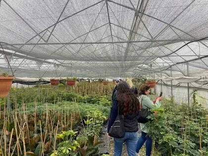 Samsun’da üreticiler modern tarımı yerinde öğreniyor

