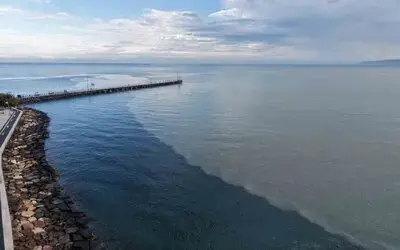 Yağışların Ardından Karadeniz’in Rengi Değişti