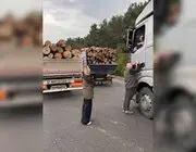 Sinop’ta Orman Ekipleri Yasa Dışı Faaliyetlere Karşı Teyakkuzda