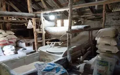 Ata Tohumundan Ürettiği Buğdaya Talep Arttı