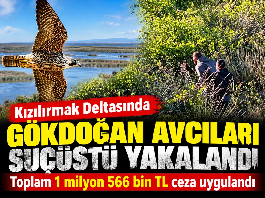 Gökdoğan Avcıları Suçüstü Yakalandı: Toplam 1 Milyon 566 Bin TL Ceza Uygulandı