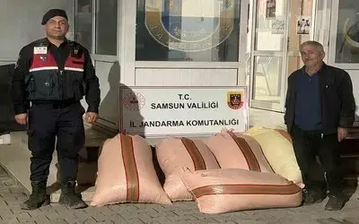 Çarşamba’da Fındık Dolandırıcılığı: 2 Gözaltı