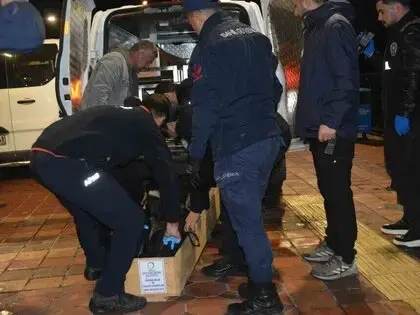 Ordu’da Denize Atlayan Genç Hayatını Kaybetti