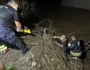 Ordu’da Irmakta Mahsur Kalan Mikser Sürücüsü Kurtarıldı