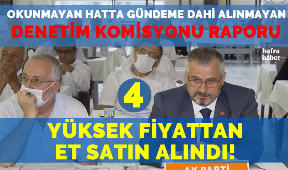 Bafra Belediyesi Meclis Denetim Komisyonu 2019 Yılı Raporu 