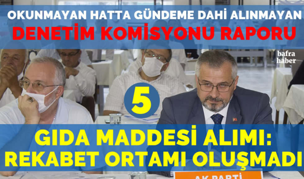 Bafra Belediyesi Meclis Denetim Komisyonu 2019 Yılı Raporu 